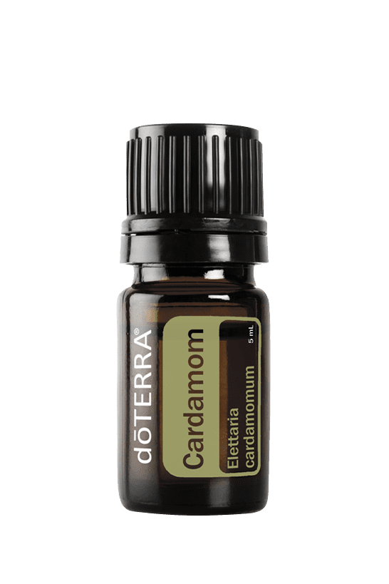 Cardamom Essential Oil