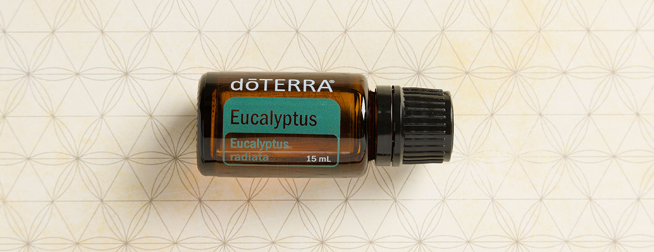 21x9_1295x500_blog_essential_oil_spotlight_eucalyptus_us_english_web.jpg