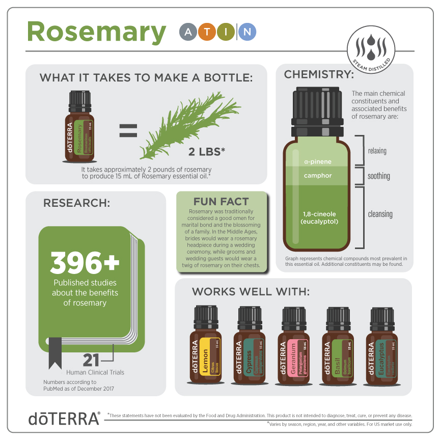 Rosemary Infographic