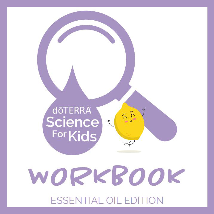 1x1_SFK_workbook.jpg