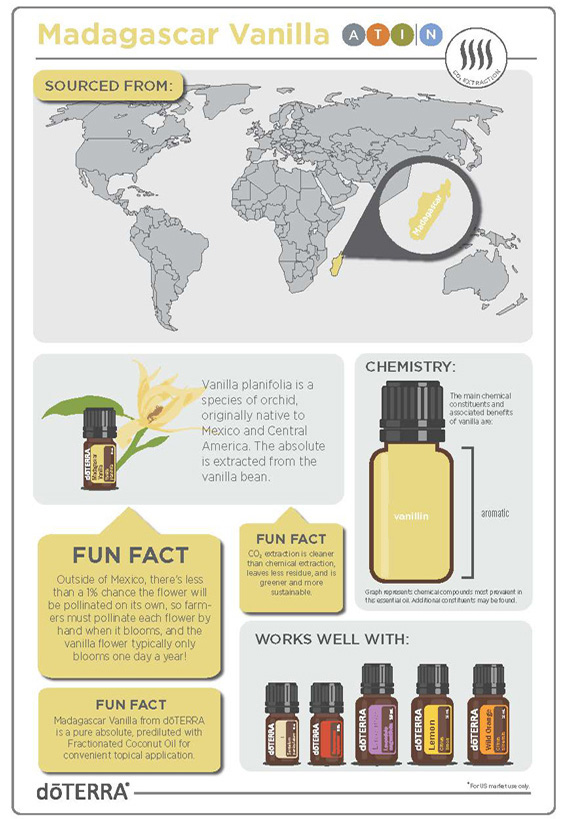 566x819-Madagascar-Vanilla-Infographic-v1-2.jpg