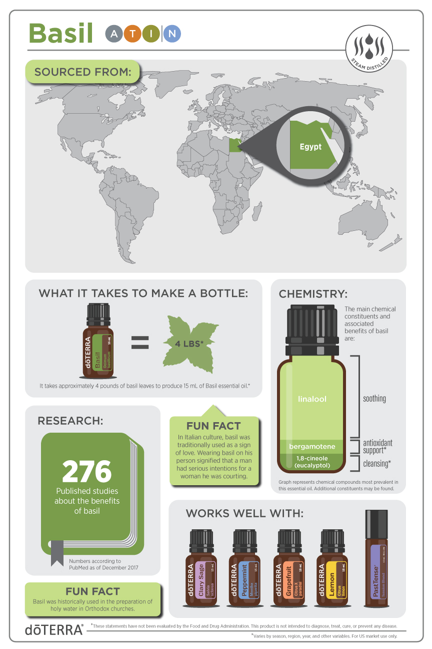 Basil_Infographic_v4.jpg