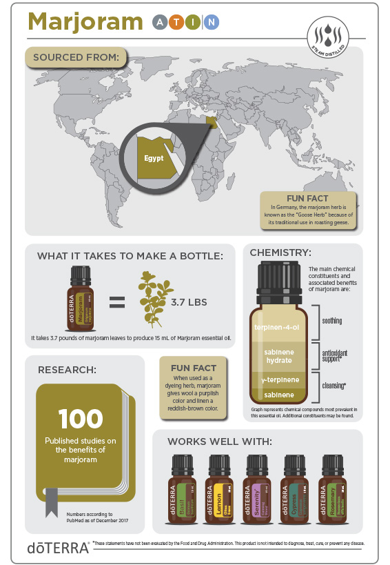 2x3-566x819-marjoram-infographic-update.jpg