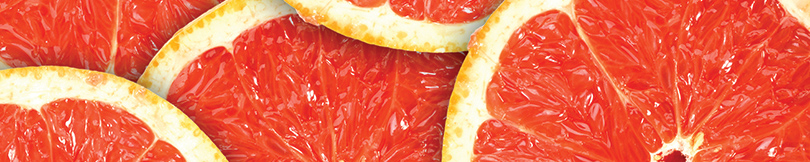 5x1_810x162_grapefruit_us_english_web.jpg