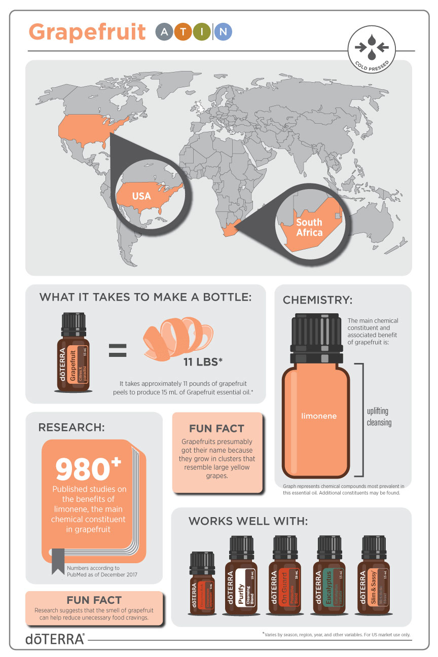 Grapefruit Infographic
