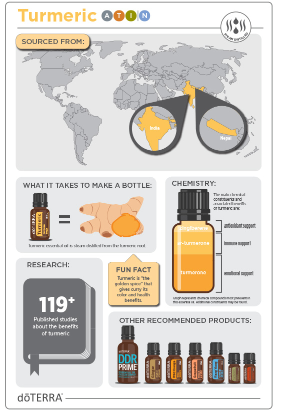 2x3-566x819-turmeric-infographic2.jpg