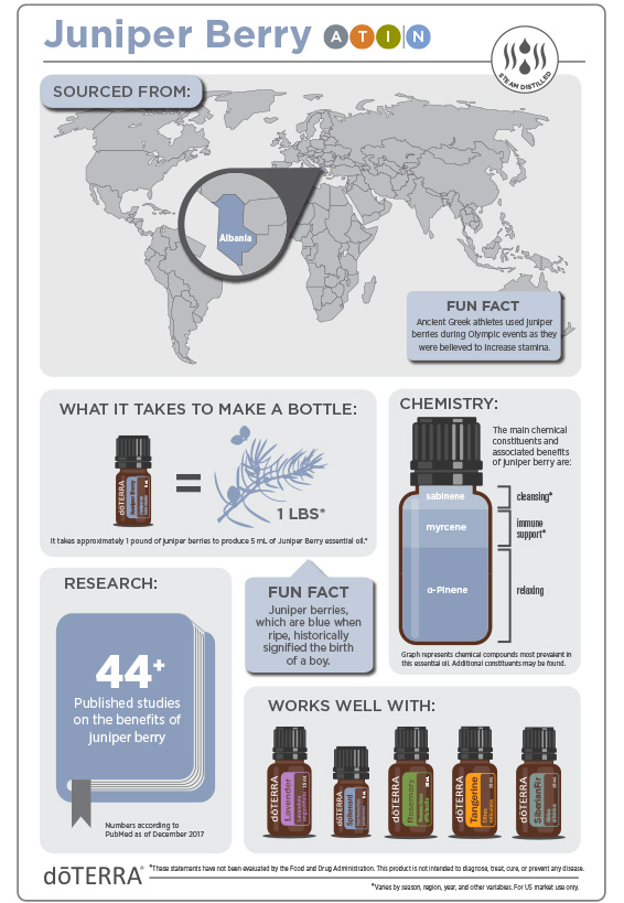 2x3-566x819-juniper-berry-infographic-2.jpg