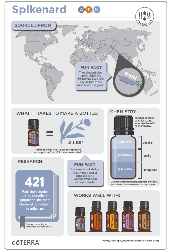 2x3-566x819-spikenard-infographic.jpg