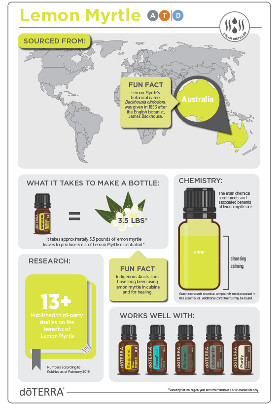 2x3-566x819-lemon-myrtle-infographic.jpg
