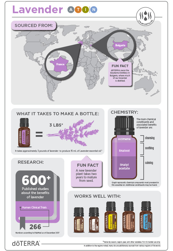 2x3-566x819-lavender-infographic-3.jpg