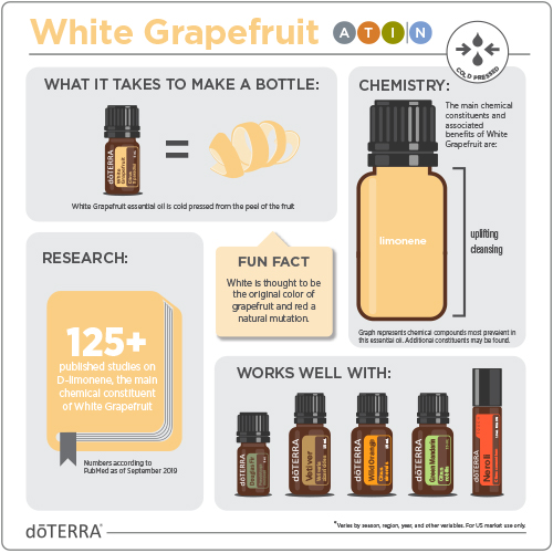 1x1-500x500-white-grapefruit-infographic-2.jpg