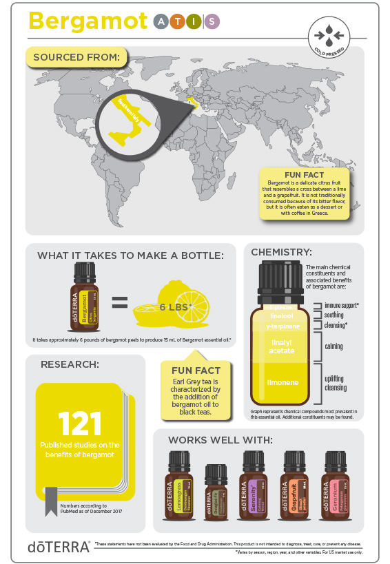 2x3-566x819-bergamot-infographic-2.jpg