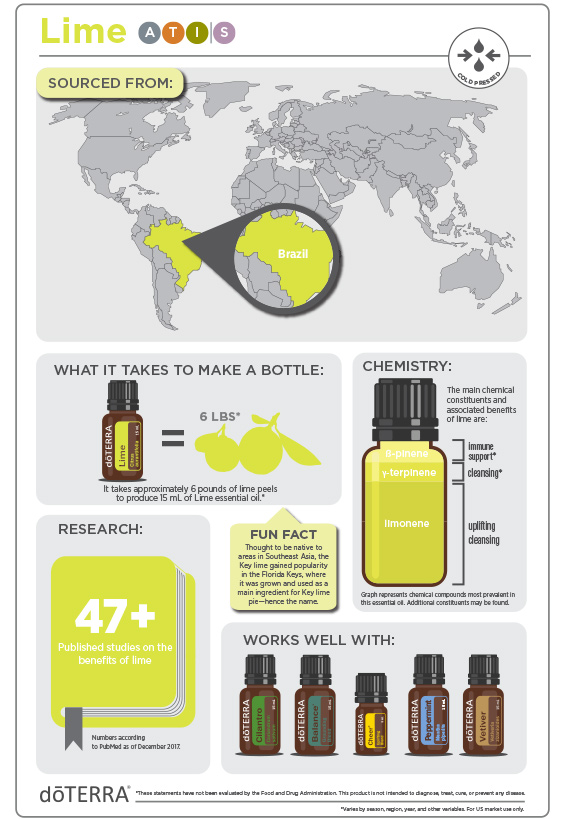 2x3-566x819-lime-infographic-3.jpg