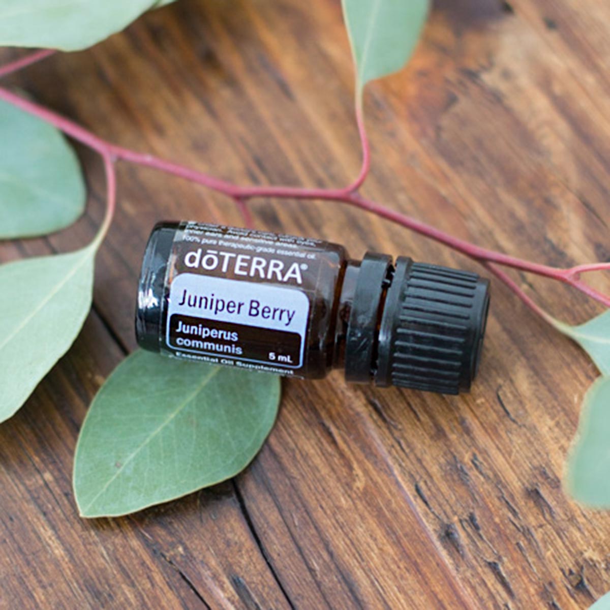 https://media.doterra.com/us/en/images/product/1x1-1200x1200-what-are-the-benefits-of-juniper-oil.jpg