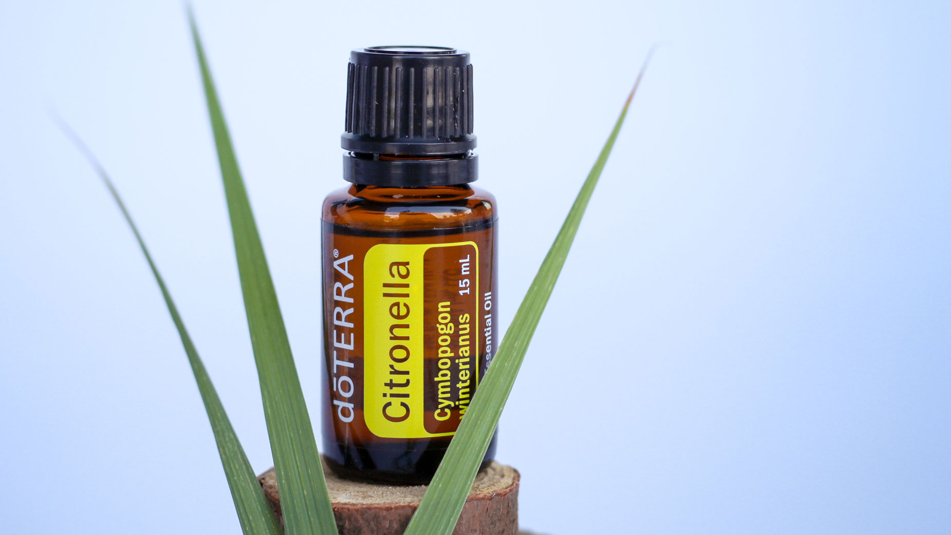 Citronella Essential Oil
