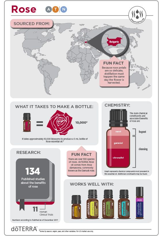 2x3-566x819-rose-infographic-2.jpg