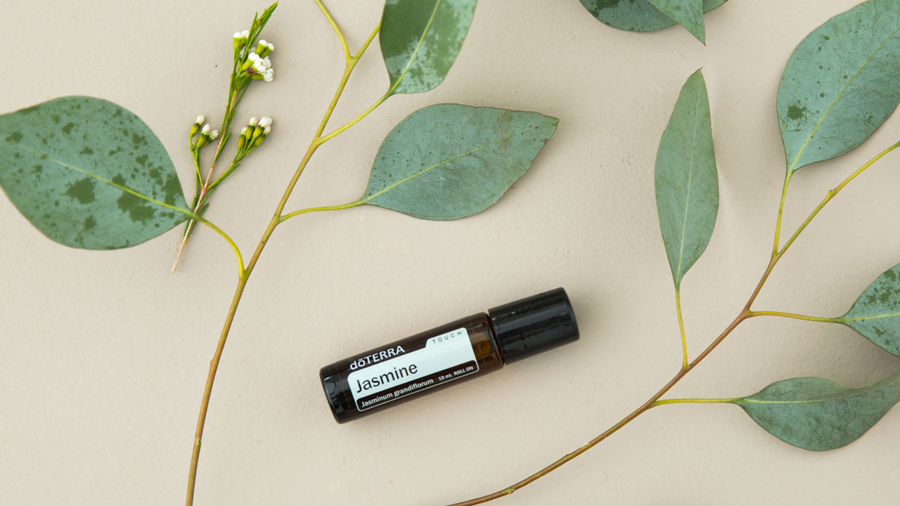 Jasmine essential oil bottle with green leaves. Because of the lovely smell, Jasmine oil is often used in skin care and hair care products. 