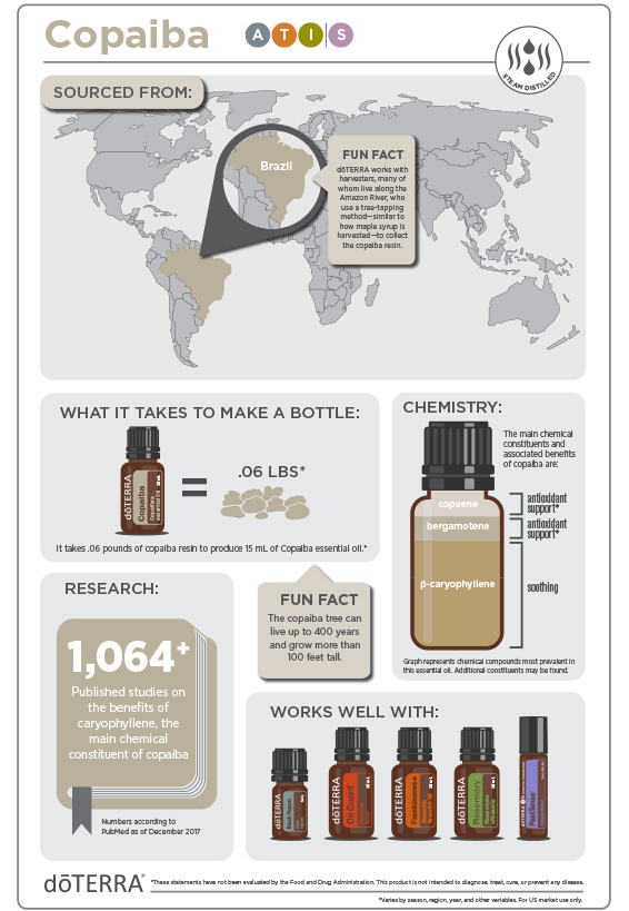 2x3-566x819-copaiba-infographic-3.jpg