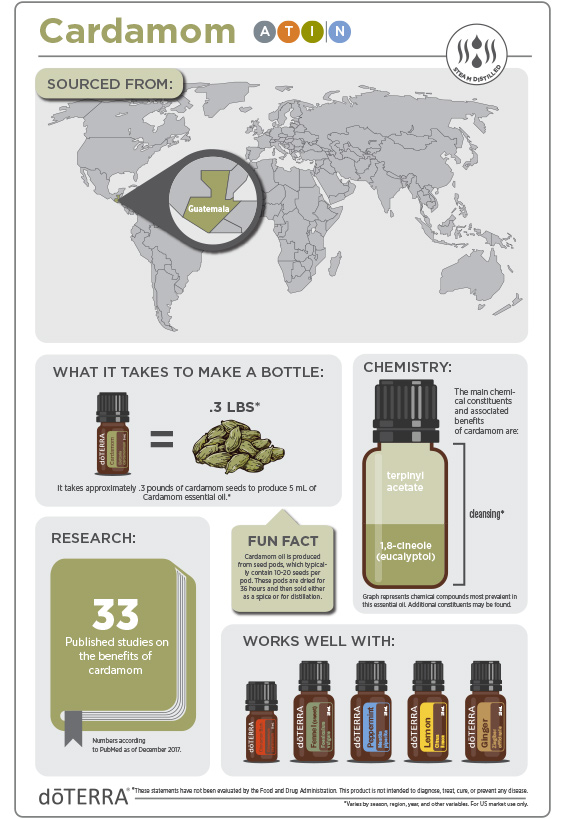 2x3-566x819-cardamom-infographic-2.jpg