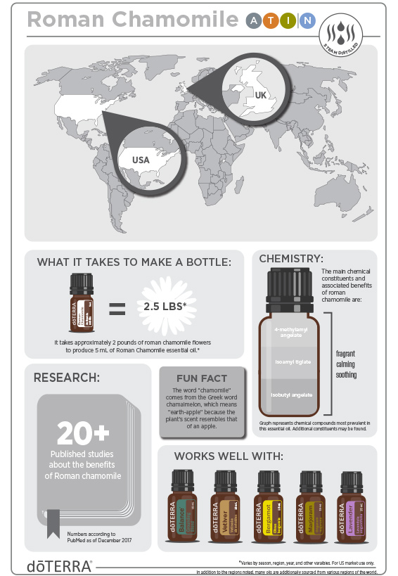 2x3-566x819-roman-chamomile-infographic-3.jpg