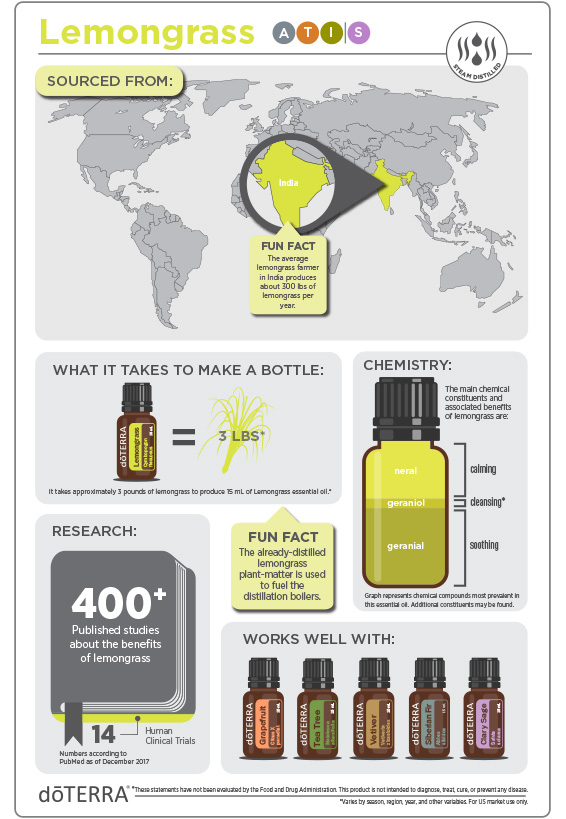 2x3-566x819-lemongrass-infographic-update.jpg