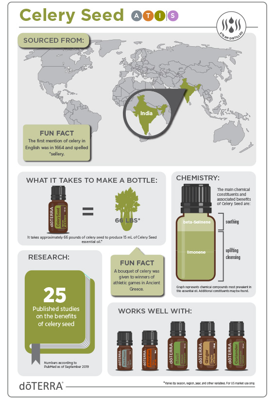 2x3-566x819-celery-seed-infographic.jpg