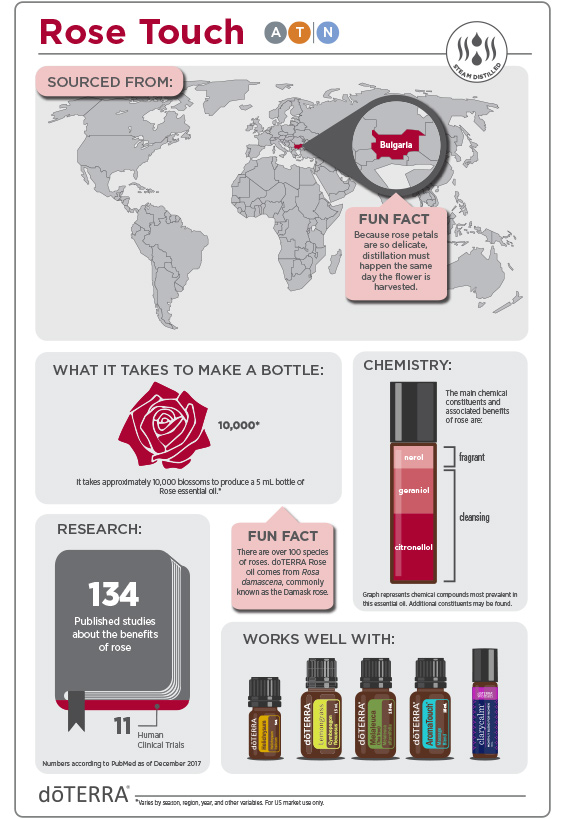 2x3-566x819-rose-touch-infographic-2.jpg