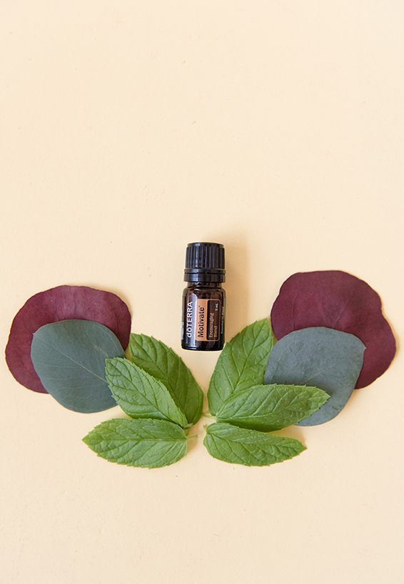 2x3-566x819-doterra-motivate-education.jpg