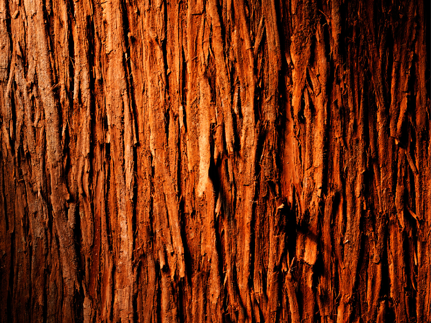 Serenity Stick Product Page images_cedarwood - mobile.jpg