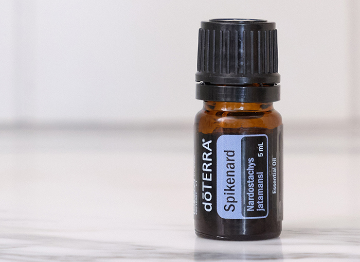 Spikenard Oil Image