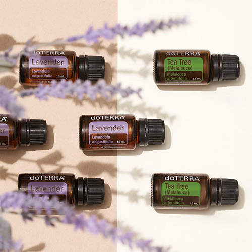 doTERRA Essential oils on a white background with lavender plants.