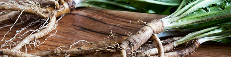 800x200-dandelion-root-desktop.jpg