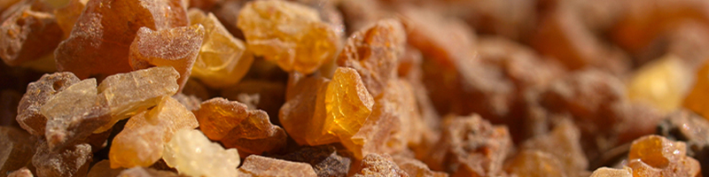 myrrh image