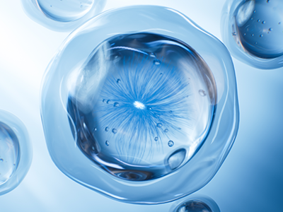 Cellular Support Blend_Mobile.png