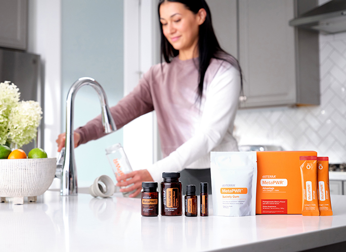 MetaPWR Cherry System Image