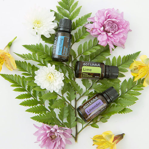 doTERRA Essential Oils, Ylang Ylang, Lime and Lavender, arranged with assorted colorful flowers and green leaves on a white background.