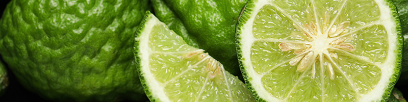 Bergamot Essential Oil image