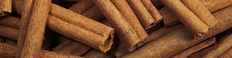 cinnamon bark image