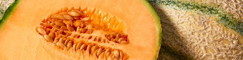 800x200-melon-extract.jpg