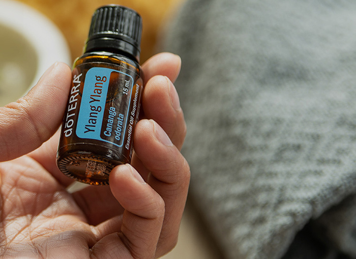 ylang ylang header image