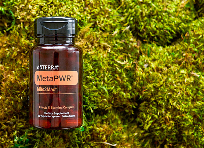 Complejo de Energía y Resistencia MetaPWR Mito2Max