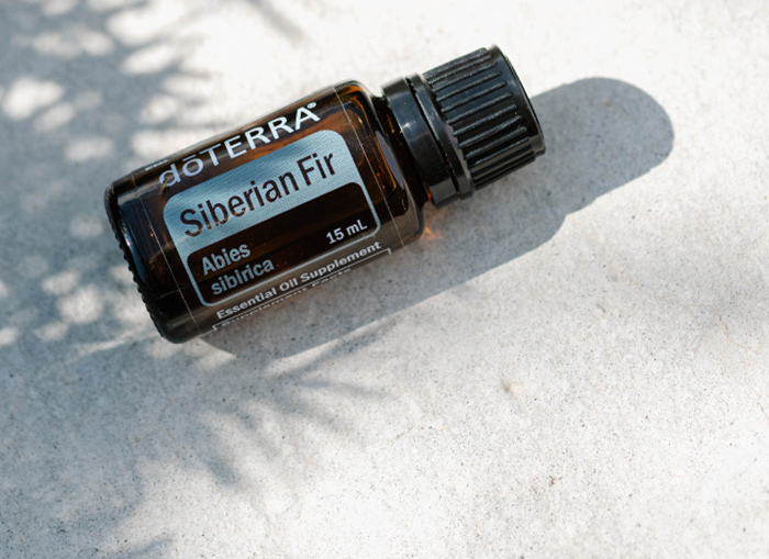 siberian fir header image
