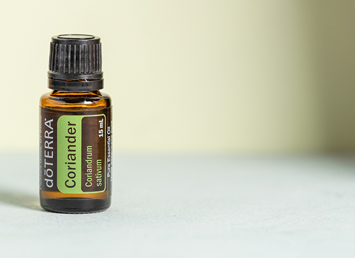 coriander header image