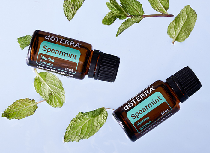 spearmint uses image