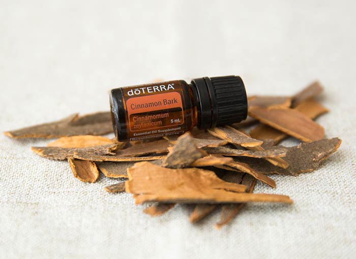 doTERRA Cinnamon Bark essential oil laying a pile of bark. 
