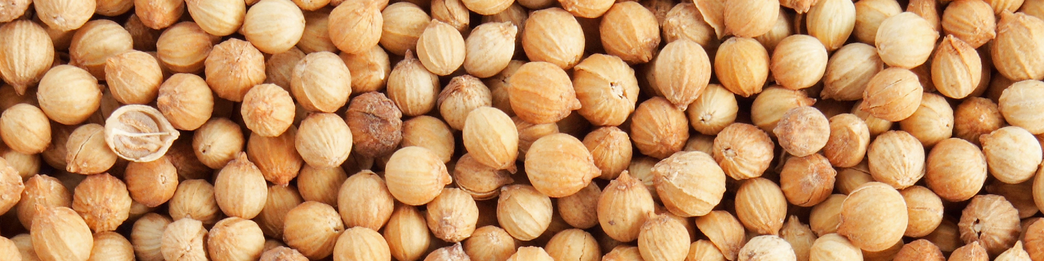 Serenity Stick Product Page images_coriander - desktop.jpg