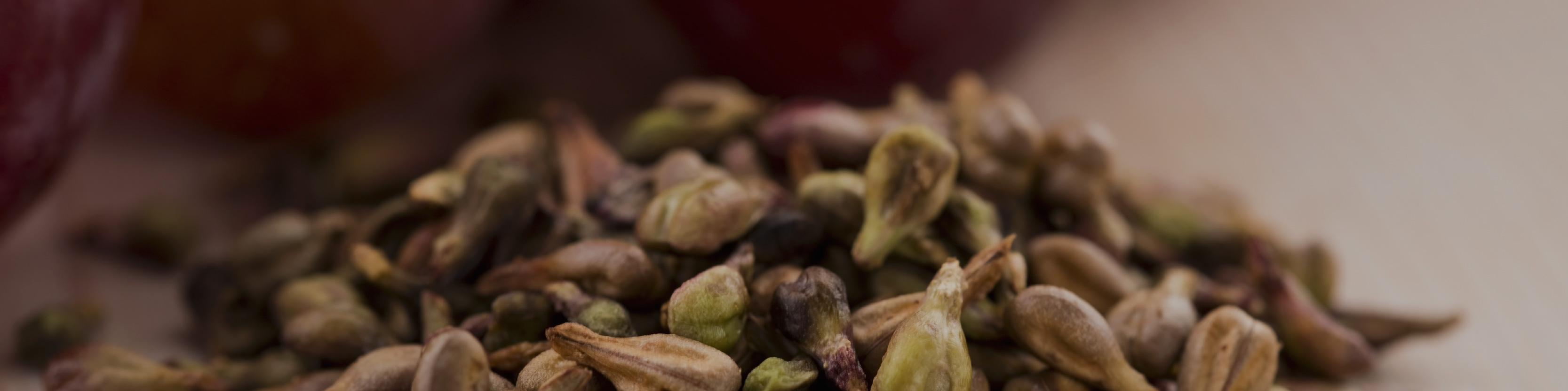 grape seed extract - desktop.jpg