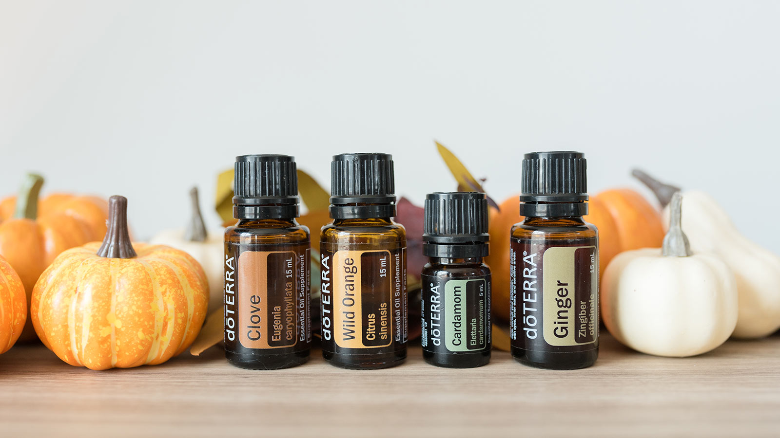 doTERRA essential oils of Clove, Wild Orange, Cardamom, and Ginger all lined up on a brown table. Small orange and white pumpkins are arranged behind them. 
