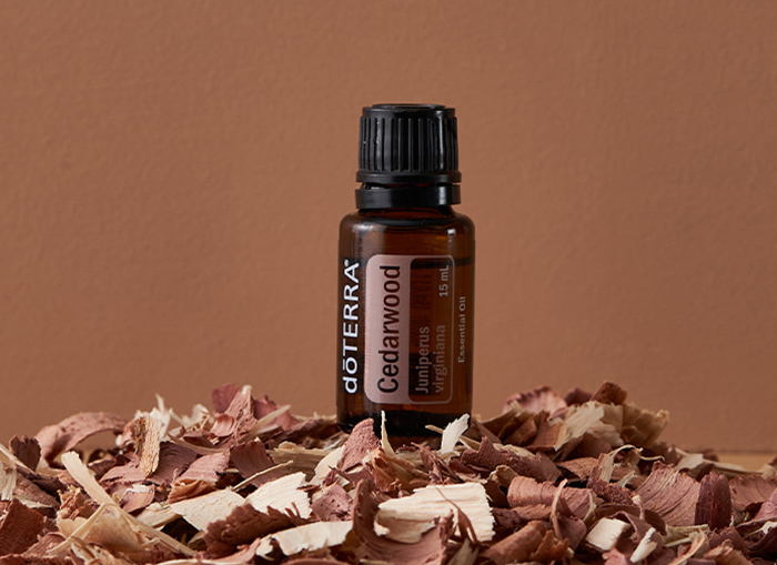 Cedarwood Oil Image
