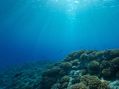 Deep Ocean Mobile.png